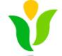 南京新闻信息网